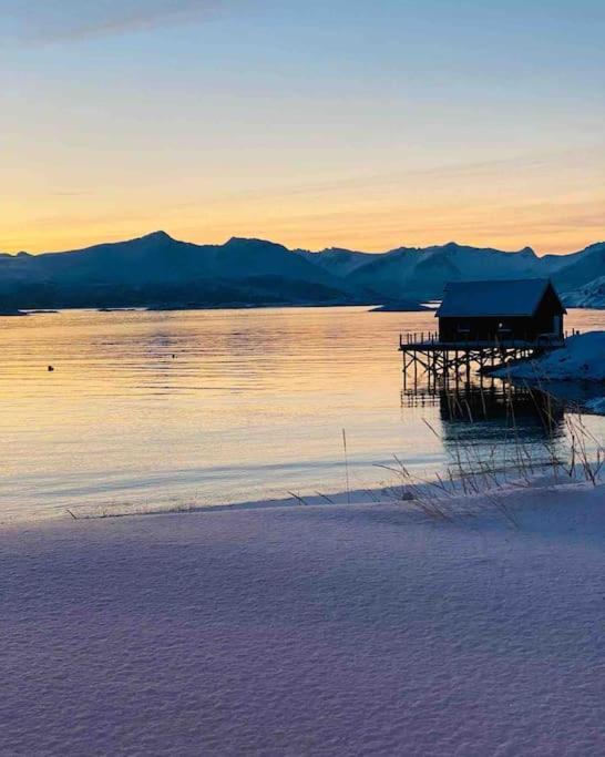 Holiday Home With Sauna In The Arctic Caribbean, Tromsø Exterior foto